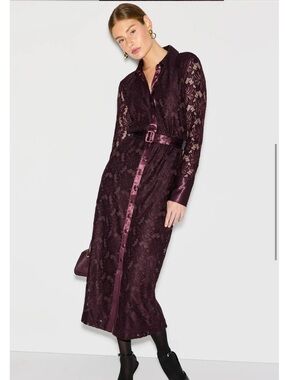Derek Lam 10 Crosby Satin Detail Lace Midi Dress, Size: 8